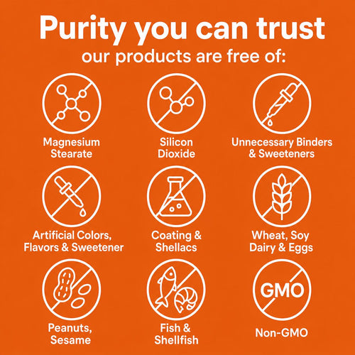 Turmeric 1000mg 95% Curcumin